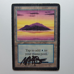SIGNED ISLAND BETA MARK POOLE MTG HP - Image 1