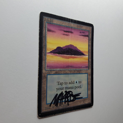SIGNED ISLAND BETA MARK POOLE MTG HP - Image 2