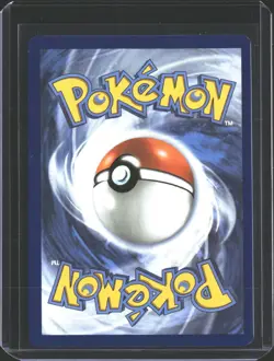 Dewgong 097/094 Illustration Rare Phantasmal Flames Pokemon NM/M - Image 2