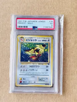 1997 Pokemon Japanese Jungle Pidgeot Holo #18 - PSA 5 - Image 1