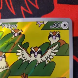 Pidgey 207/197 SV03: Obsidian Flames Illustration Rare NM - Image 4