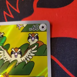 Pidgey 207/197 SV03: Obsidian Flames Illustration Rare NM - Image 5