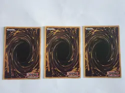 Relinquished. Black Illusion Ritual, Common, 1st, LDS1. Manju of The Ten. LP. - Image 2