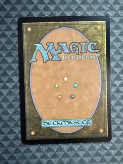 MTG Yavimaya Coast #261/281 Foil Rare Dominaria United (DMU) - Image 3