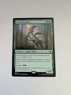 Hooded Hydra [Murders at Karlov Manor Commander] Magic MTG - Image 1