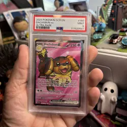 2024 POKEMON SCR EN-STELLAR CROWN ULTRA RARE #160 DACHSBUN EX PSA 9 - Image 4