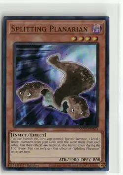 Yugioh Splitting Planarian MP25-EN263 Ultra Rare NM 1st Ed - Image 1