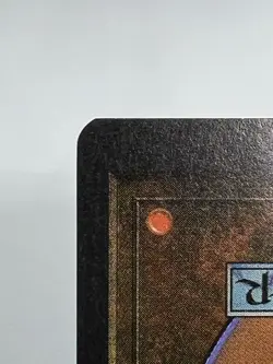 MTG GIANT TORTOISE (Light) Arabian Nights Regular EX/NM+ Magic The Gathering - Image 10