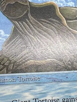MTG GIANT TORTOISE (Light) Arabian Nights Regular EX/NM+ Magic The Gathering - Image 3