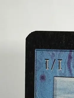 MTG GIANT TORTOISE (Light) Arabian Nights Regular EX/NM+ Magic The Gathering - Image 6