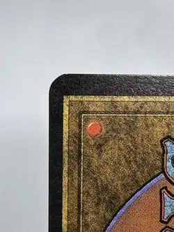 MTG GIANT TORTOISE (Light) Arabian Nights Regular EX/NM+ Magic The Gathering - Image 9