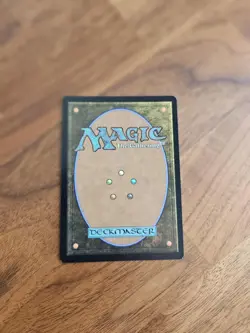 Fierce Guardianship - BORDERLESS FOIL - NM - MTG - Image 4