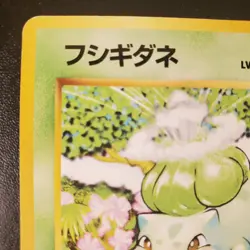 1996 Japanese Bulbasaur No. 001 Base Set Pokemon Lightly Played - Image 4