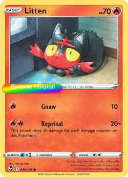 Pokemon Litten 030/195 SWSH12: Silver Tempest Reverse Holofoil - Image 1