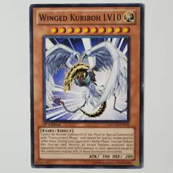Winged Kuriboh LV10 - LCGX-EN010 - HP+ - Common - 1st ed - Yugioh - Image 1