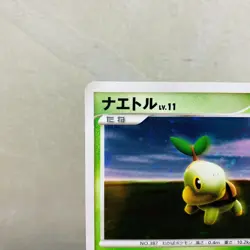 (EX) Turtwig Holo 072/DP-P Promon 2007 Pokemon Japanese Card Nintendo - Image 2