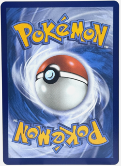 Pokemon Mega Greninja ex Chaos Rising 116/086 Special Illustration Rare TCG - Image 2