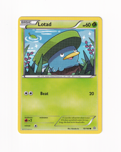 Lotad 10/169 Primal Clash XY 2015 Regular Non Holo Pokemon Card Near Mint NM - Image 1