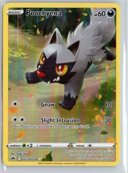Poochyena Holofoil Ultra Rare SWSH: Crown Zenith: Galarian Gallery GG33/GG70 ... - Image 1