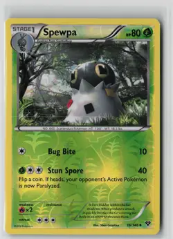 Spewpa 16/146 Uncommon XY Pokemon Reverse Holo NM - Image 1