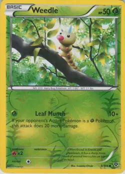 Weedle 3/146 Common XY Pokemon Reverse Holo Lightly Played - Image 1