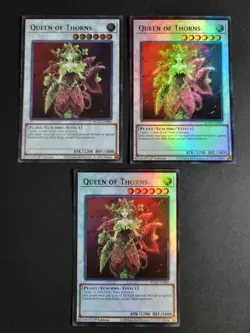 Queen of Thorns (X3) BLGG-EN088 Ultra Rare Yugioh Glorious Gallery - Image 1