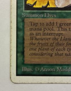 Llanowar Elves Unlimited Edition (2ED) Magic the Gathering 1993 Common MP - Image 2