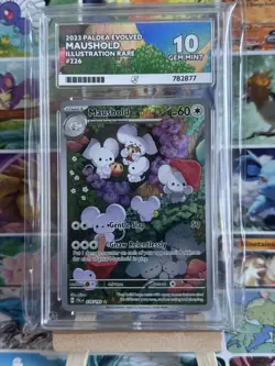 Pokemon Maushold 226/193 ACE 10 Paldea Evolved Ace Label & LOW POP - Image 1