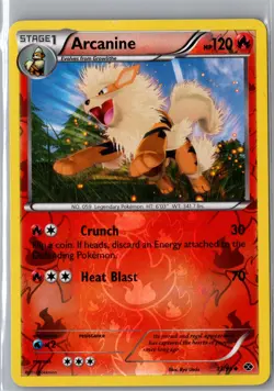 Arcanine 13/99 Uncommon Next Destinies Pokemon Reverse Holo Near Mint - Image 1