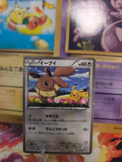 Pokemon Karte Card Holo Eevee Evoli BW Seven Eleven Promo Pikachu japanese Exc - Image 1
