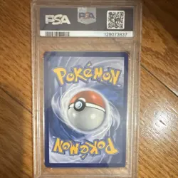 Pokemon 2024 Temporal Forces Grotle 164/162 Illustration Rare Holo PSA 9 - Image 2