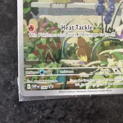 Pokemon TCG Charmander 044 Black Star Promo - Sealed - Scarlet & Violet - Image 2