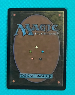 Sea Gate Loremaster - Zendikar - MTG - Magic the Gathering - MP - Image 2