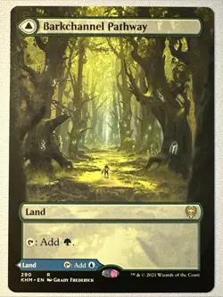 MTG / Barkchannel Pathway / KHM / #290 / Regular (Borderless) / Rare / NM - Image 1