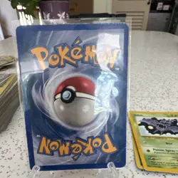 Pokemon TCG Cyndaquil Expedition 105/165 Common Eng 50 HP Unlimited - Image 2