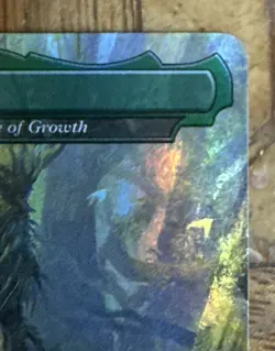 MTG Fangorn Forest - Yavimaya, Cradle of Growth (FOIL) 0377 Lord of the Rings - Image 4