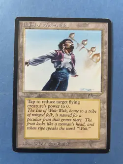 MTG Arabian Nights Edition, Island of Wak Wak! 1993 Vintage Magic! - Image 1