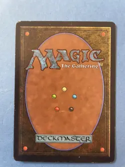MTG Arabian Nights Edition, Island of Wak Wak! 1993 Vintage Magic! - Image 2