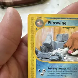 Piloswine 24/144 Skyridge Pokemon TCG trading card - Image 4