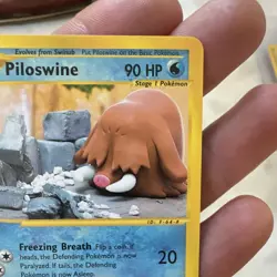 Piloswine 24/144 Skyridge Pokemon TCG trading card - Image 5