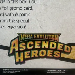 Pokemon Company Int'l Ascended Heroes Feraligatr ex Box Promo 2016 - Image 3