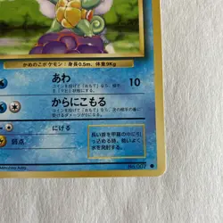 Squirtle Japanese Base Set Common Pokemon TCG Pocket Monsters - Image 5