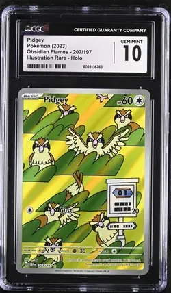 Pidgey 207/197 SV03: Obsidian Flames Illustration Rare Holo - CGC 10 GEM MINT - Image 1