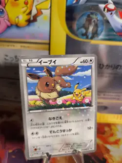 Pokemon Karte Card Holo Eevee Evoli BW Steven Eleven Promo Black St japanese Exc - Image 1
