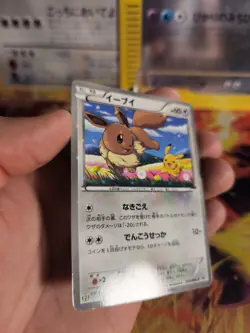 Pokemon Karte Card Holo Eevee Evoli BW Steven Eleven Promo Black St japanese Exc - Image 4