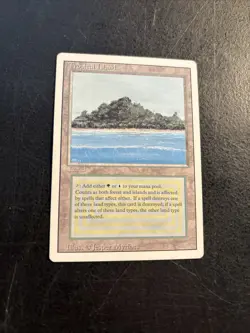 MTG Magic the Gathering Tropical Island Dual Land Revised Edition MP - Image 2