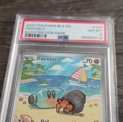 Pokemon TCG Dwebble PSA 8 2025 SV Black Bolt 129/086 Illustration Rare Holo EN - Image 2