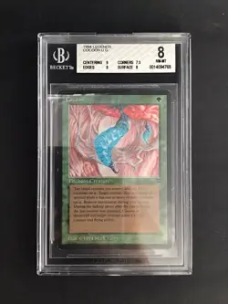 4 BGS Magic: The Gathering Legends Hornet Cobra Subdue Durkwood Boars Cocoon - Image 2