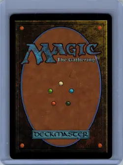 Plains () (First-Place Foil) DFT 507 Foil L NM - Image 2