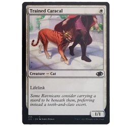 x1 Trained Caracal J22 MTG M/NM Common White Creature Cat Jumpstart 2022 TCG CCG - Image 1
